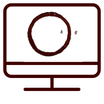 VISITA SEGUIMIENTO ONLINE